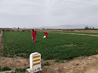 GB_50253-2014_輸油管道工程設計規范