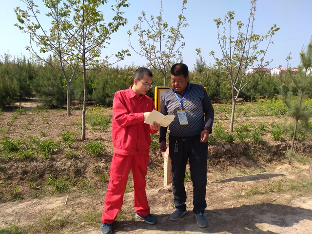 ֪y k߀Ƕ ӛɽ||I(yng)͚ݔ͹ܵȫι