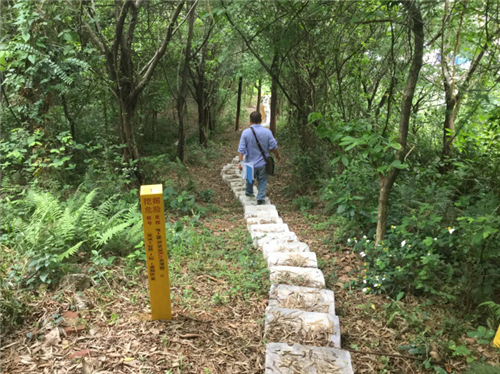 ĳ۸߉ݔܵh(hun)ɼcϼߺ^Re