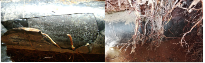 ֲϵȻL(chng)ݔܵӰ푼kо