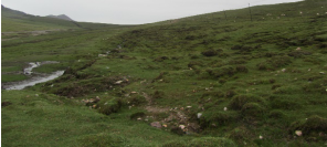 ?xn)^бw们عܵ׃Oyc