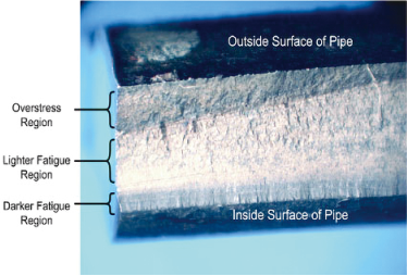 ԭй©¹δM(jn)ܵ șzyg(sh)l(f)չ