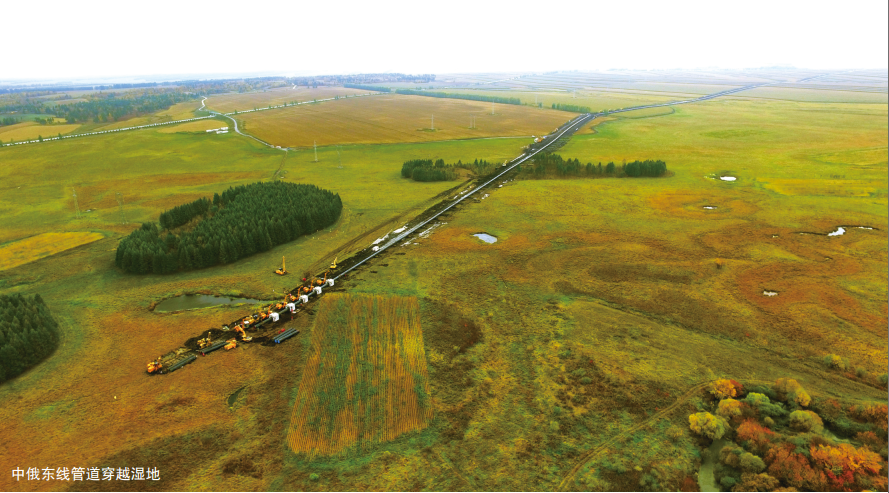 W(xu)܊P(gun)ژܵИI(y)|(zh)ȫOӋwϵ˼