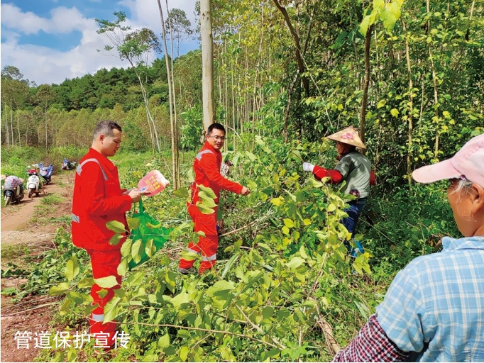 ȻܵɽL(fng)U،(sh)`