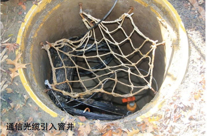 ȼܾW(wng)L(fng)UOyAg(sh)ð