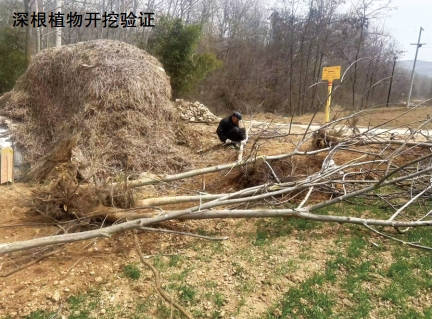 ֲܵ3PEӵӰ푼ּܿ̽ӑ